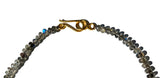 Just a Pop! Labradorite & Turquoise Necklace